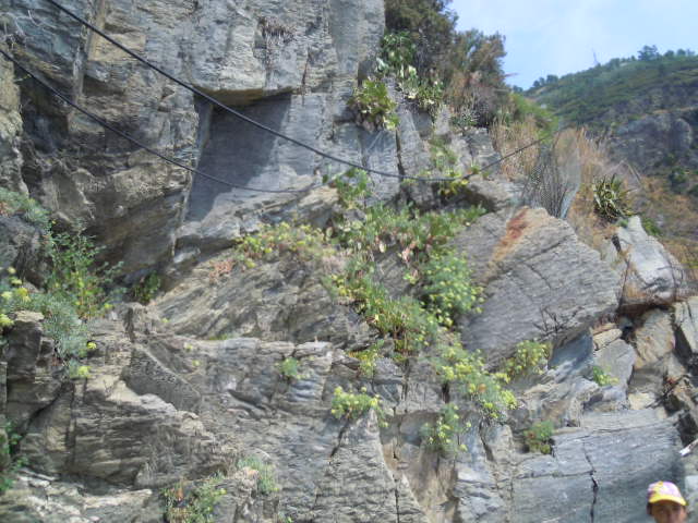 134_Riomaggiore_rocce