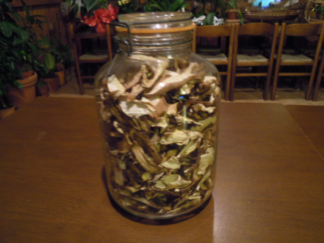 16_funghi_porcini 16_funghi_porcini