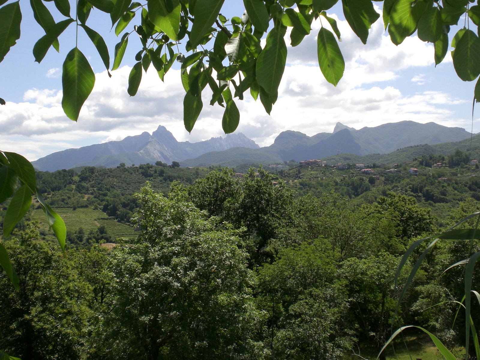 20_Panoramica_Apuane