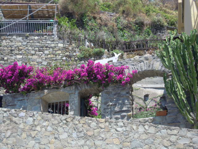 21_Manarola_fiori
