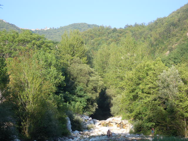 22_Equi_alberi