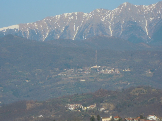 34_Agnino