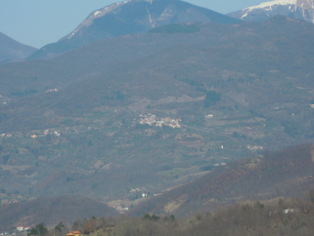 35_Magliano