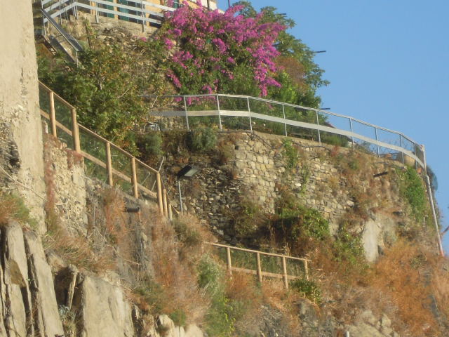 41_Manarola_via_amore