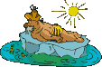 Al_mare_con_pesci