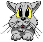 Gatto