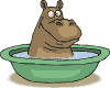Ippopotamo_dentro_bacinella
