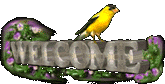 Welcome_con_uccellino